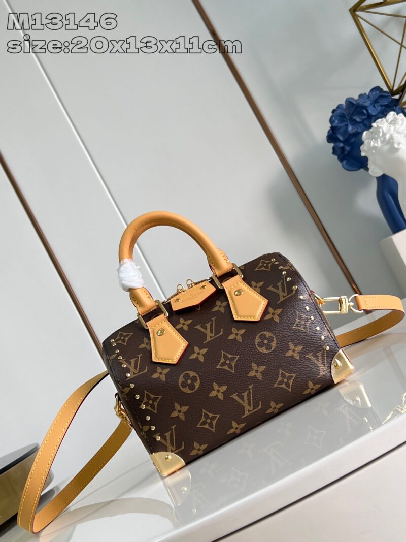 LV Speedy Trunk 20cm monogram color