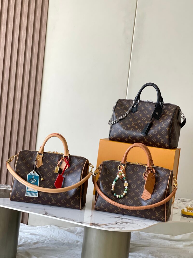LV Speedy Soft 30 monogram color