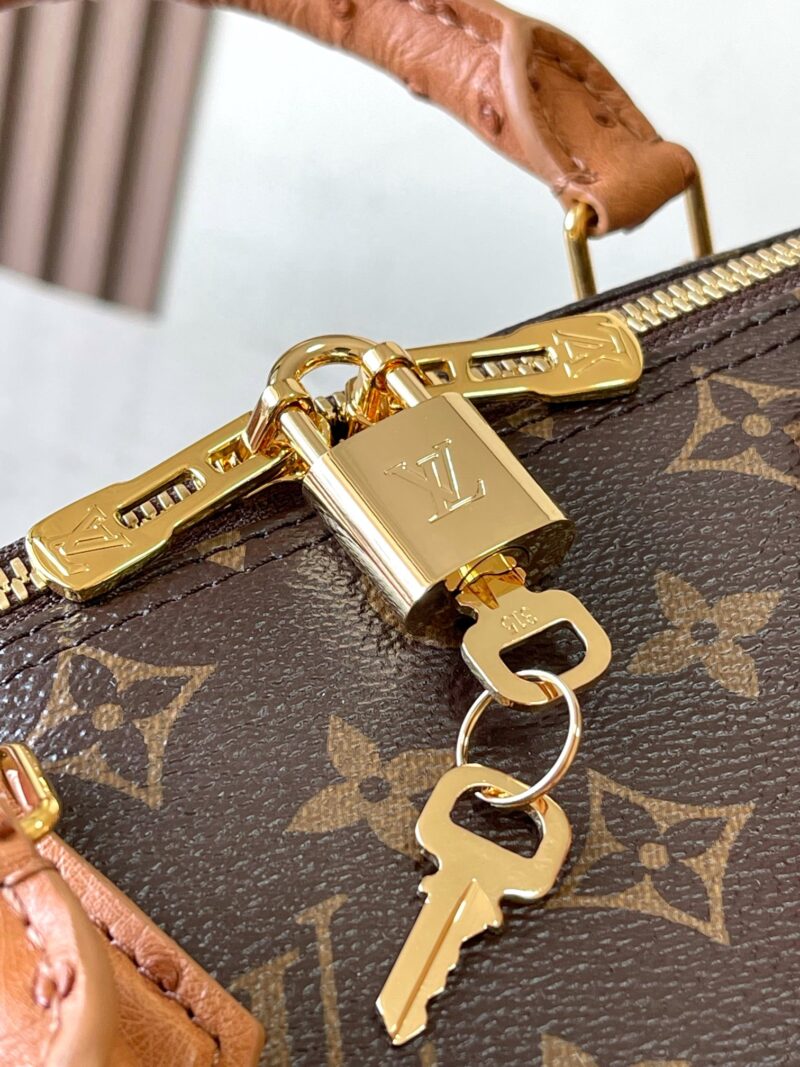 LV Speedy Soft 30 monogram color - Image 21