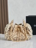Chanel 25bag Hobo 26A Handbag Leopard Print Pony Hair mini Size